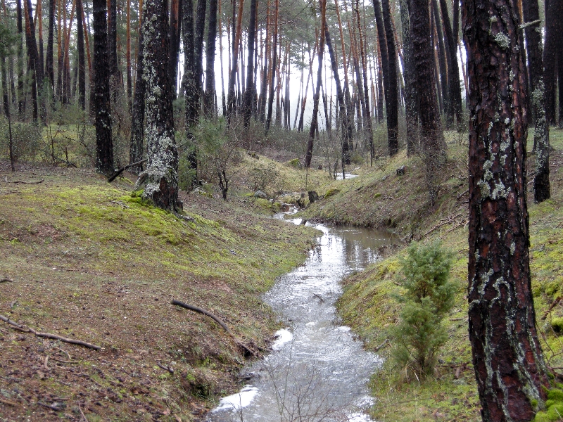 soria_2013 139